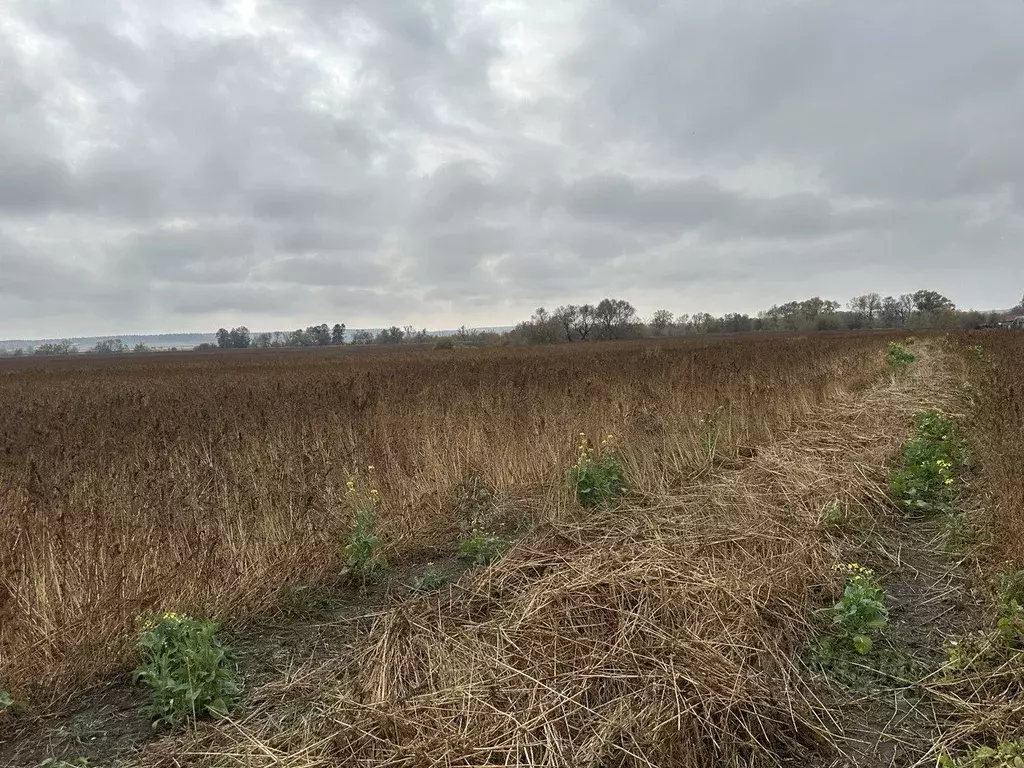 Участок в Московская область, Серебряные Пруды муниципальный округ, с. ... - Фото 1