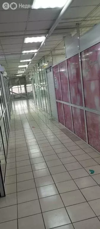 Помещение свободного назначения (113 м) - Фото 2