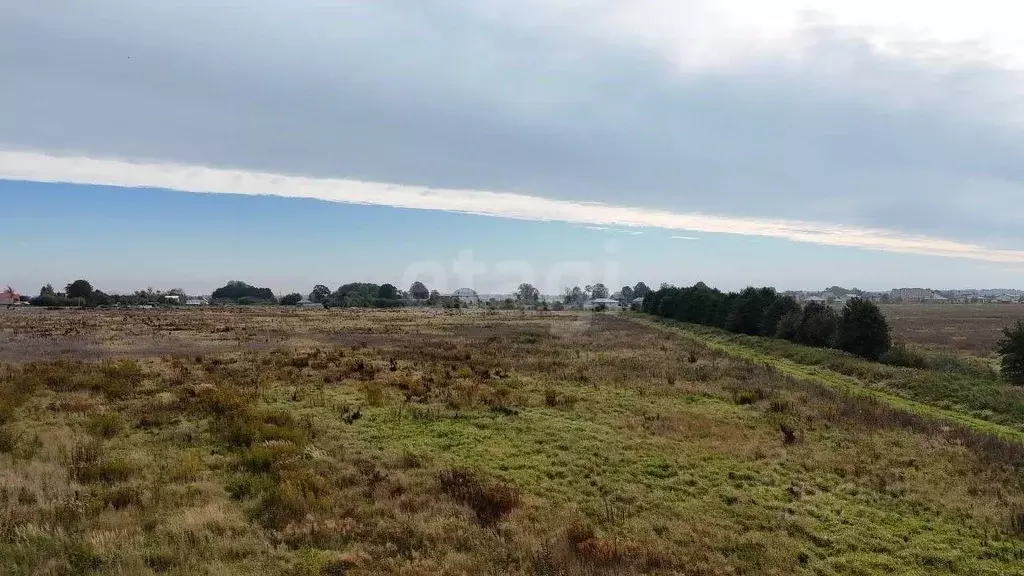 Участок в Калининградская область, Зеленоградский муниципальный округ, ... - Фото 1
