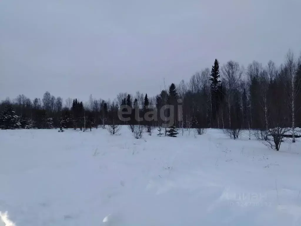 Участок в Томская область, Томский район, с. Корнилово, Красная горка ... - Фото 2