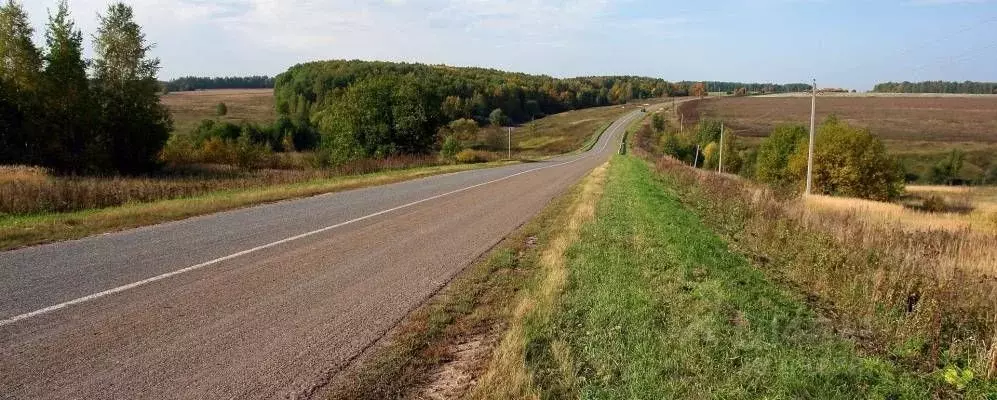 Участок в Владимирская область, Александровский район, д. Елькино  ... - Фото 1