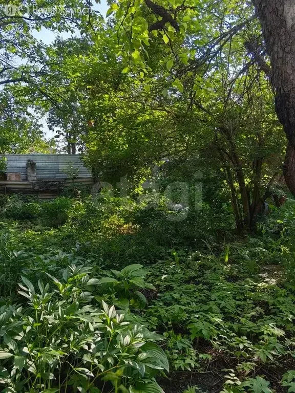 Участок в Кисловодск, улица Калинина (13 м) - Фото 2
