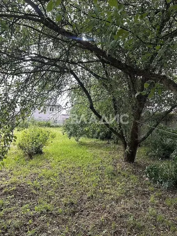 Участок в Ивановская область, Ивановский муниципальный округ, д. ... - Фото 1