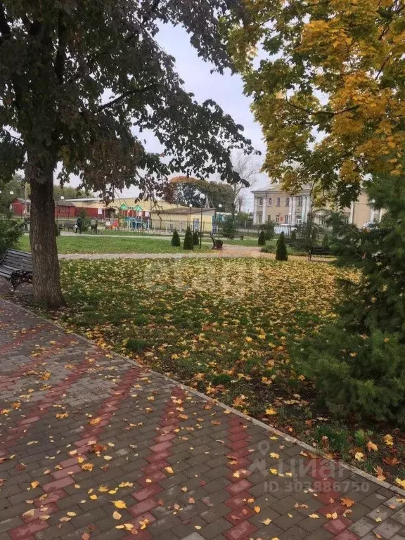 Участок в Воронежская область, Новоусманский район, ... - Фото 0