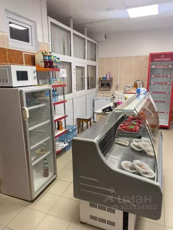 Помещение свободного назначения в Иркутская область, Усть-Илимск ул. ... - Фото 2