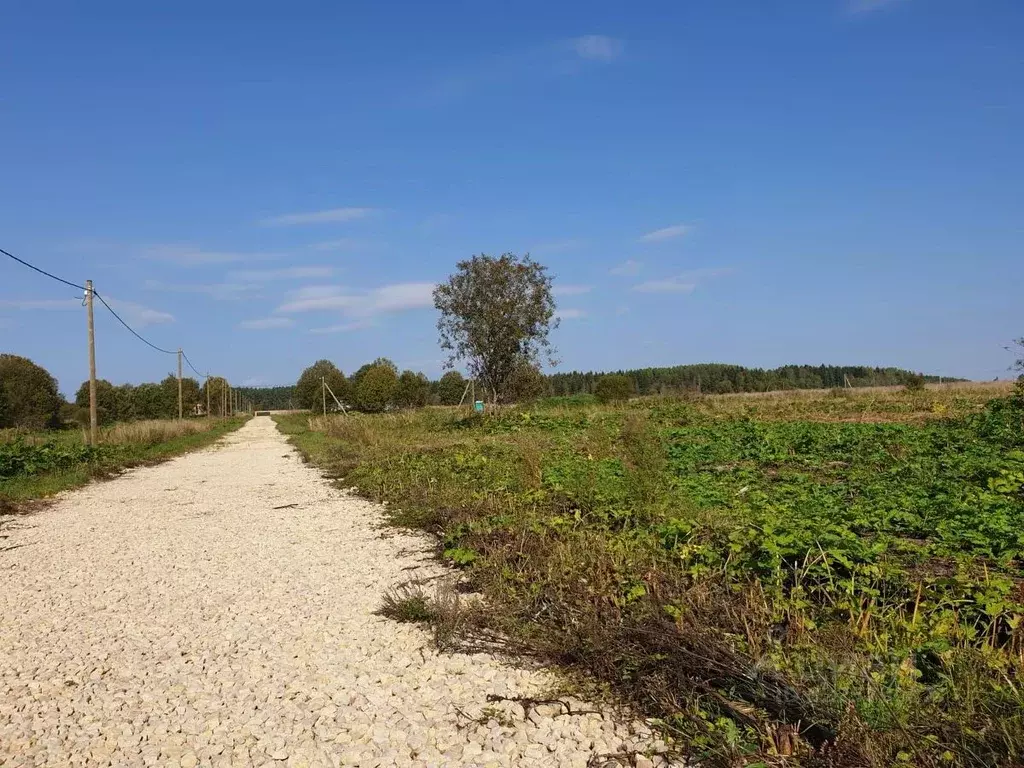 Участок в Ленинградская область, Гатчинский муниципальный округ, д. ... - Фото 1