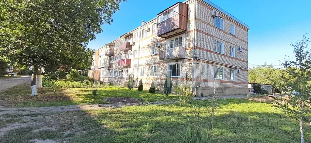 3-к кв. Краснодарский край, Каневская ст-ца ул. Промысловая (55.9 м) - Фото 0