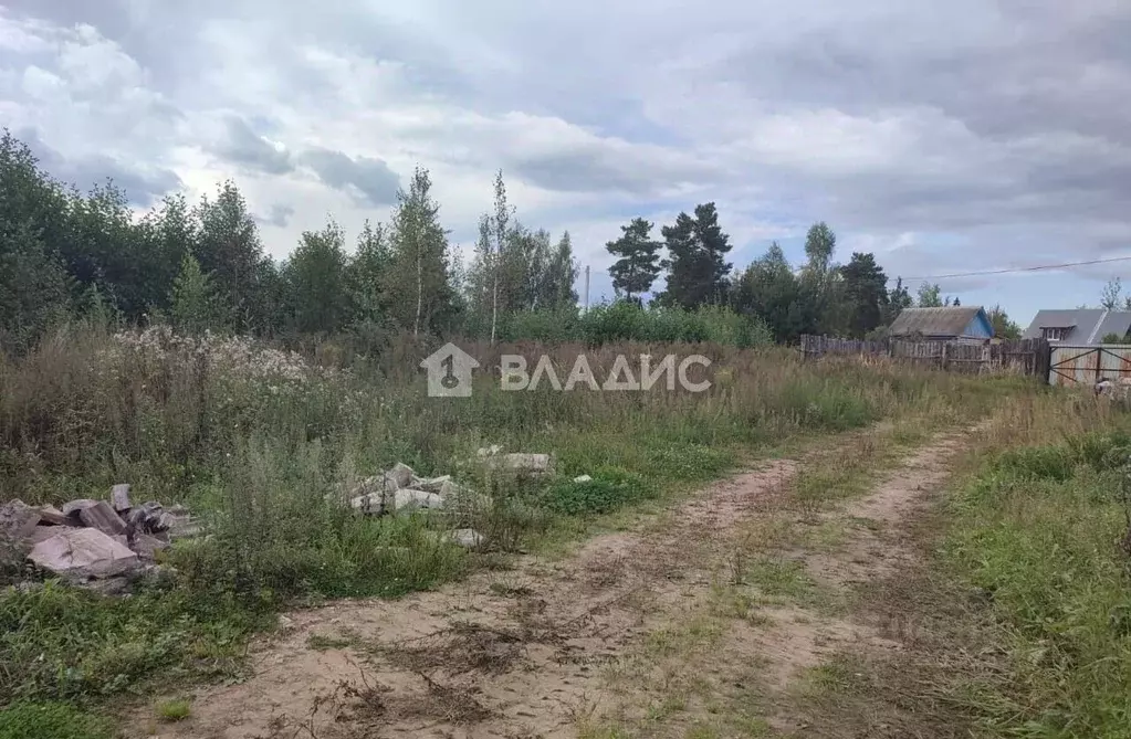 Участок в Владимирская область, Собинка ул. Брусничная (8.0 сот.) - Фото 1