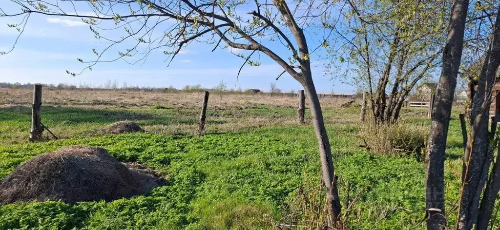 Участок в Свердловская область, Режевской муниципальный округ, с. ... - Фото 1