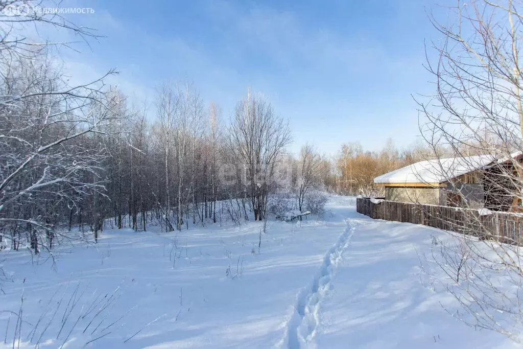 Участок в Тобольск, садоводческое товарищество Южанка (10.1 м) - Фото 1