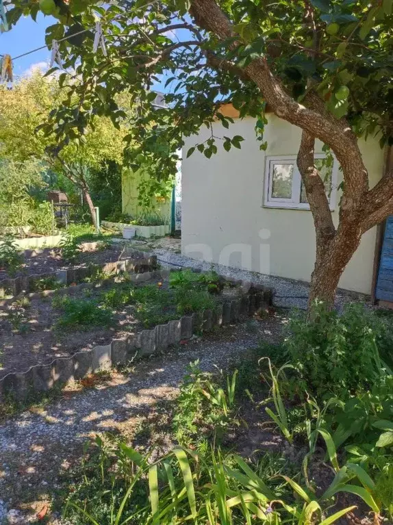 Дом в Краснодарский край, Геленджик  (43 м) - Фото 1