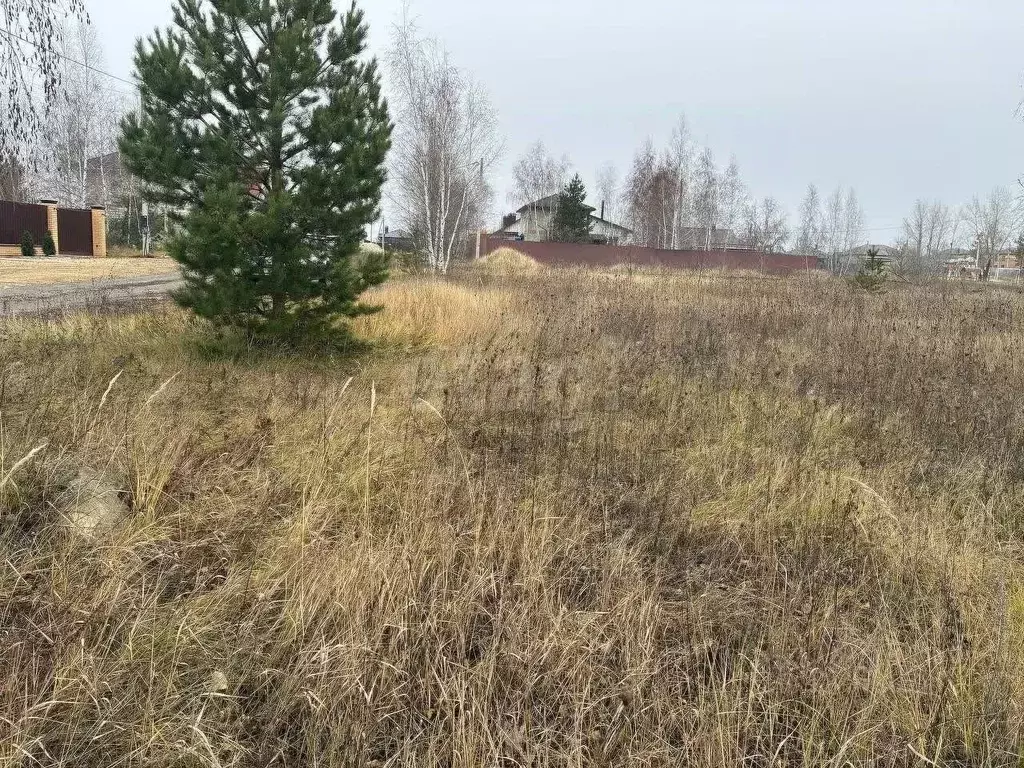 Участок в Воронежская область, с. Новая Усмань пер. Морской, 6А (12.0 ... - Фото 2