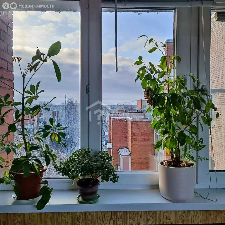 3-комнатная квартира: Петергоф, Чичеринская улица, 5к2 (69.5 м) - Фото 1