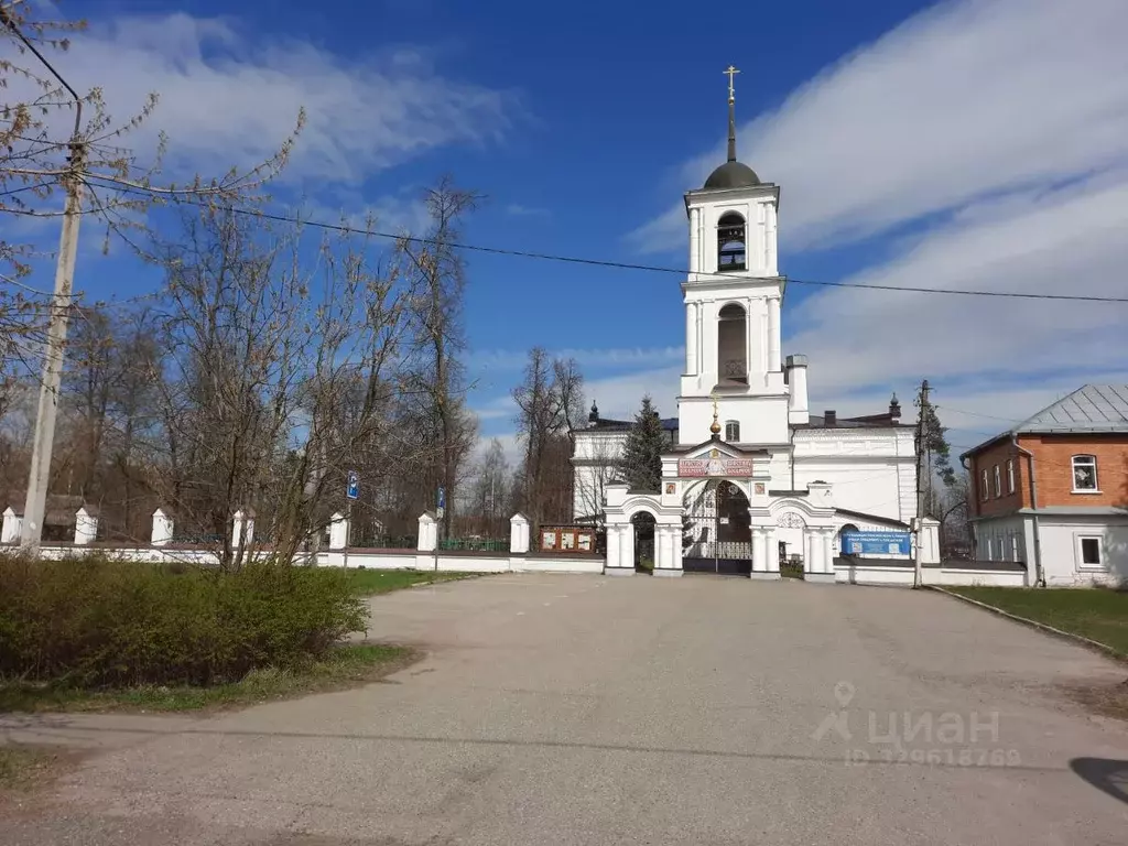 Участок в Московская область, Богородский городской округ, с. Ямкино ... - Фото 2