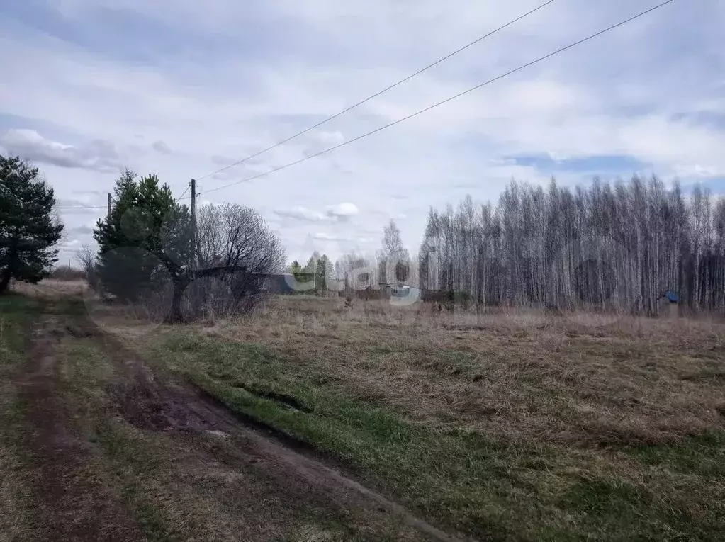 Участок 12 сот. (СНТ, ДНП) - Фото 1