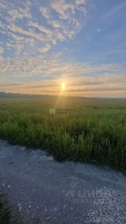 Участок в Краснодарский край, Новороссийск городской округ, ... - Фото 1