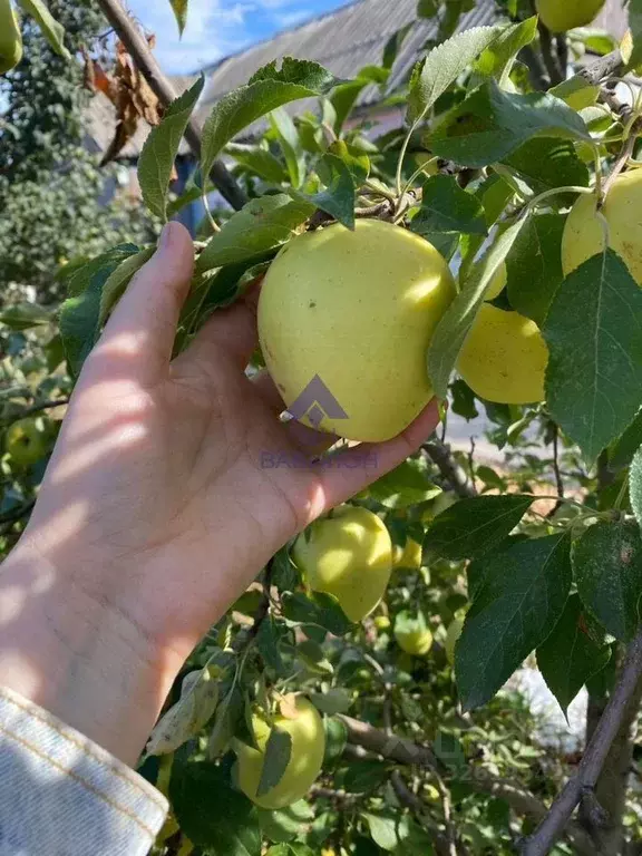 Участок в Ростовская область, Волгодонск проезд Монтажников (6.0 сот.) - Фото 2