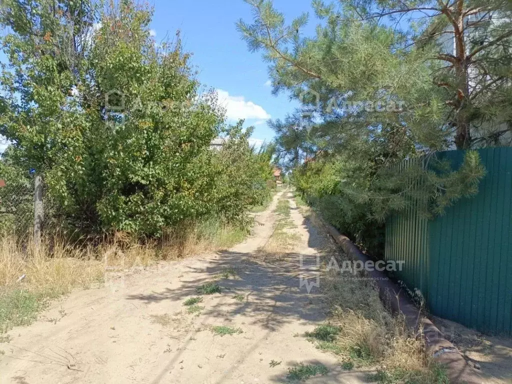 Участок в Волгоградская область, Среднеахтубинский район, ... - Фото 1