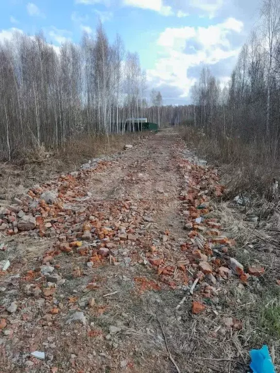 Участок в Тюменская область, Нижнетавдинский муниципальный округ, ... - Фото 1