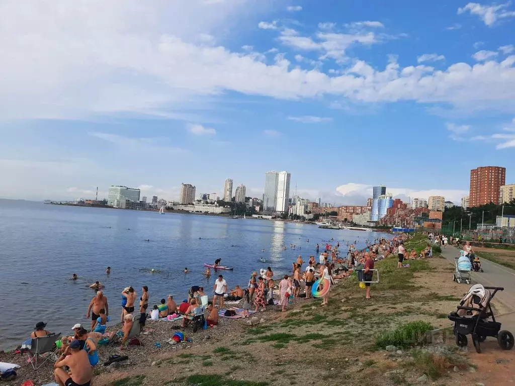 1-к кв. Приморский край, Владивосток ул. Морозова, 7 (23.0 м) - Фото 0