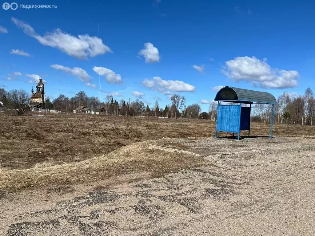 Участок в Ярославская область, Борисоглебский муниципальный округ, ... - Фото 1