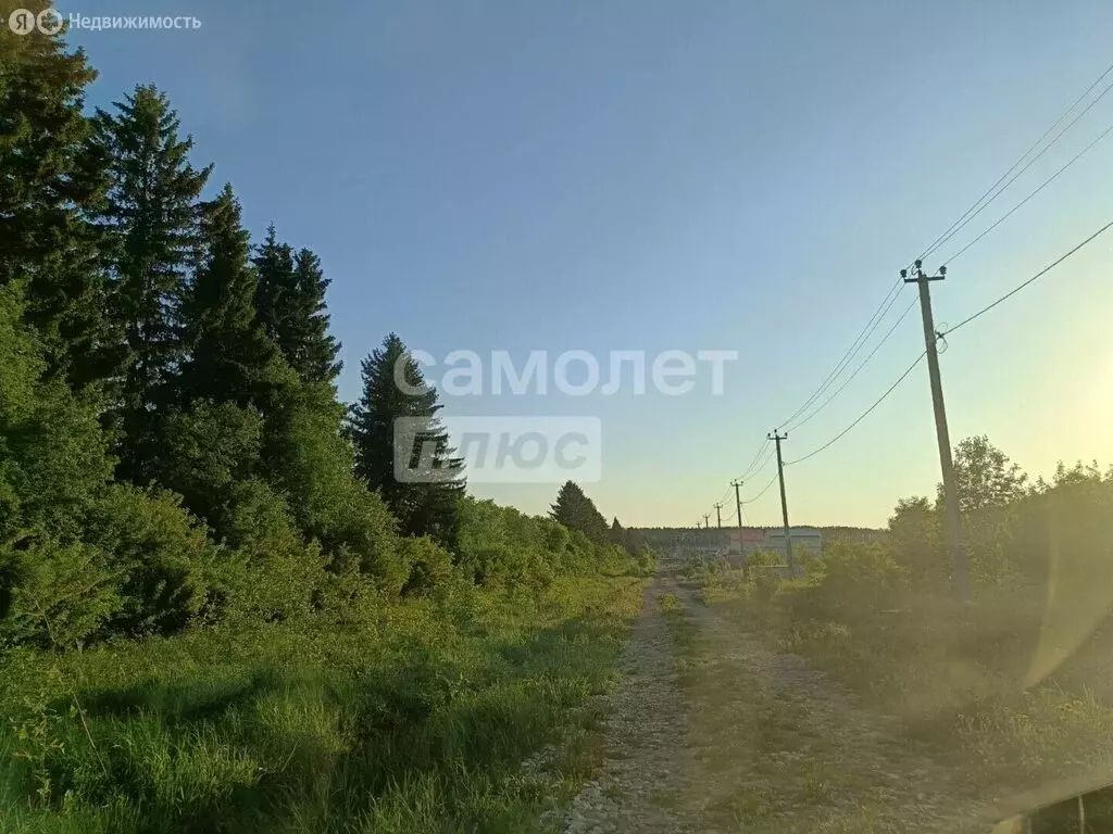 Участок в Завьяловский район, деревня Большая Венья, Сливовая улица ... - Фото 2