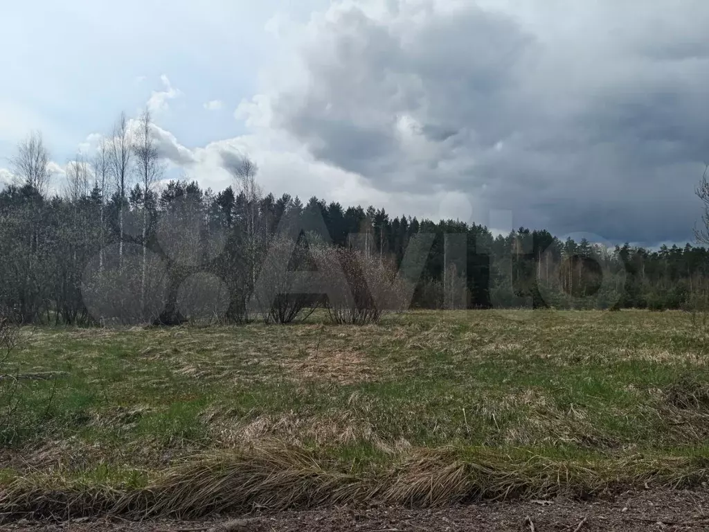 Участок 6 сот. (СНТ, ДНП) - Фото 1