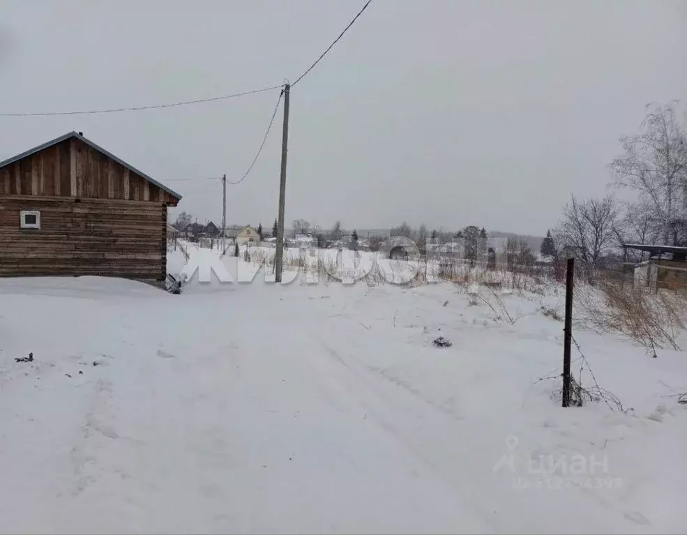 Участок в Алтайский край, Барнаул городской округ, Поселок Казенная ... - Фото 0