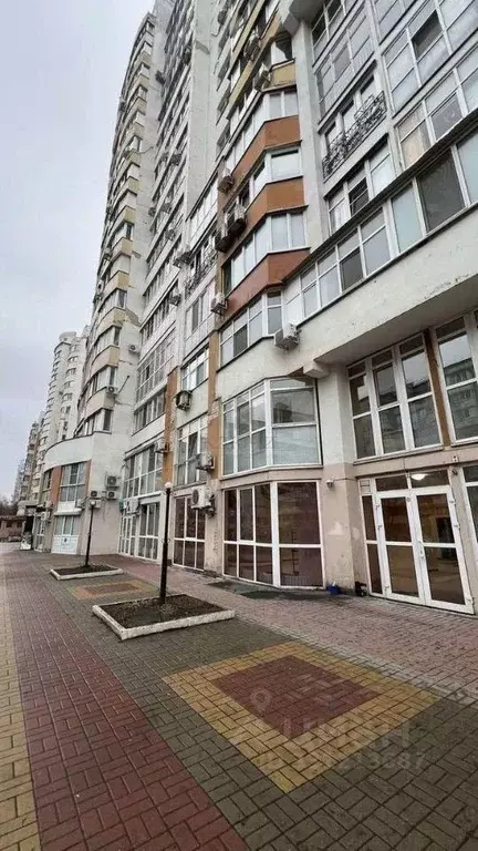 Торговая площадь в Белгородская область, Белгород ул. Победы, 165 (147 ... - Фото 2