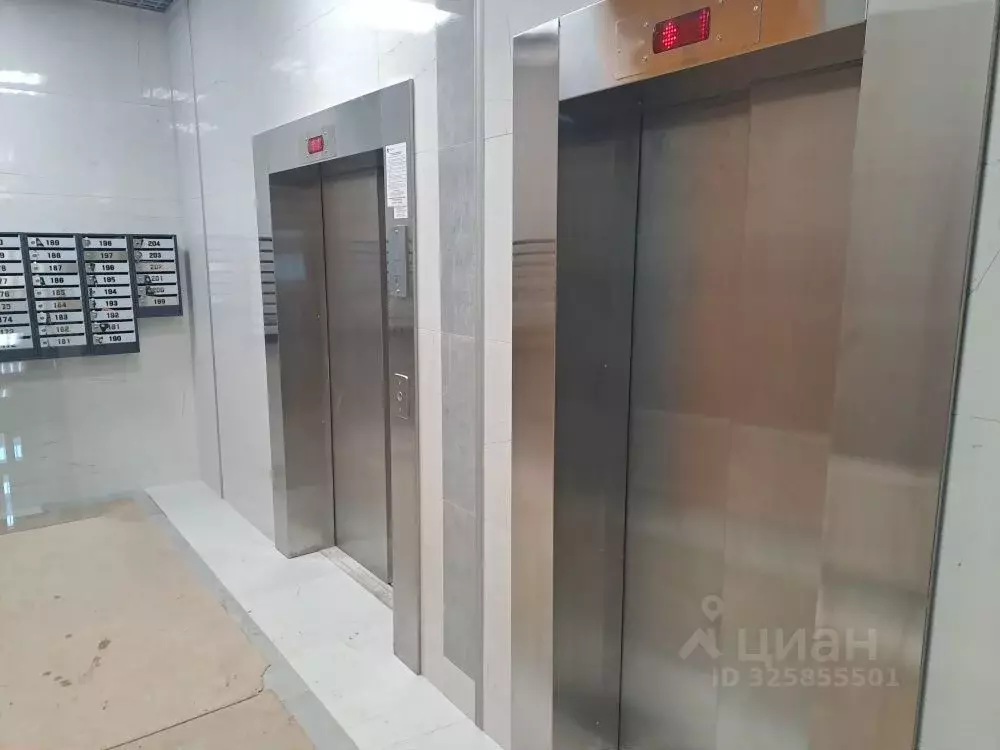 Студия Санкт-Петербург пос. Шушары, ул. Окуловская, 18 (23.0 м) - Фото 2