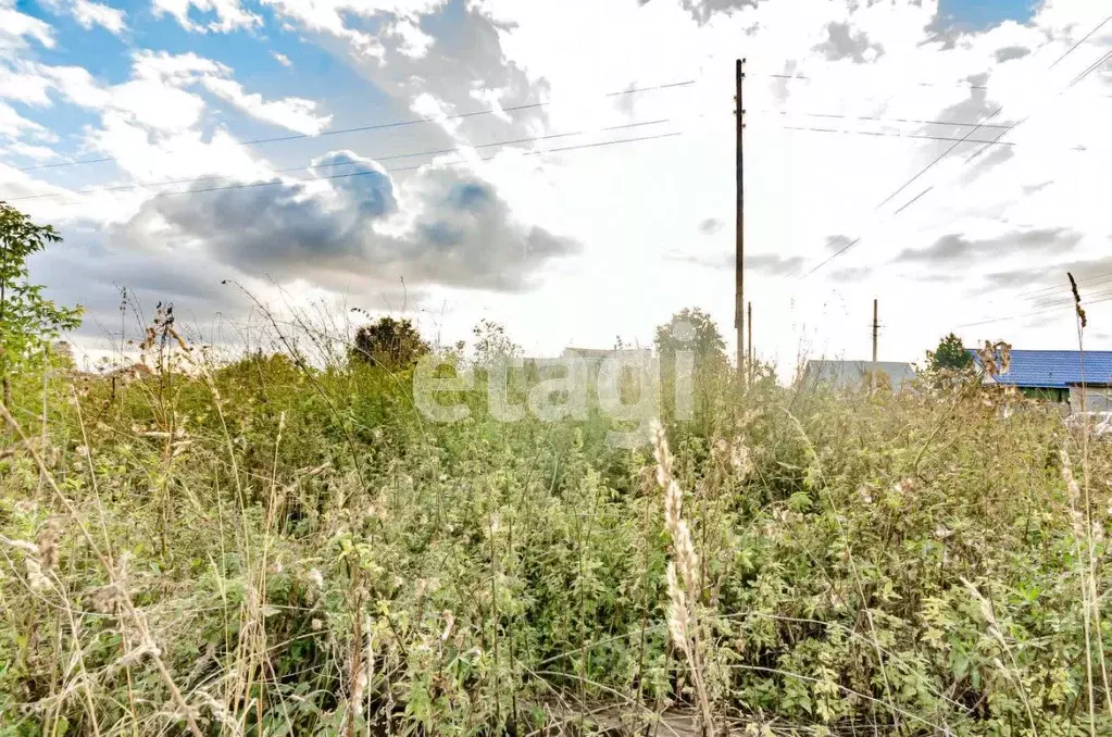 Участок в Новосибирская область, Искитимский район, Совхозный ... - Фото 1