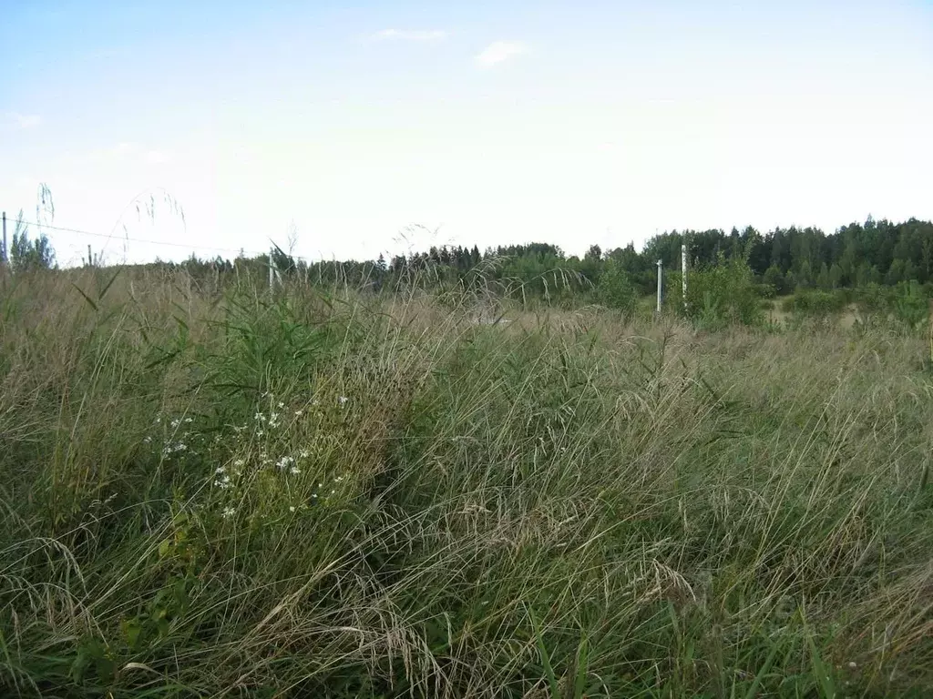 Участок в Ленинградская область, Ломоносовский район, Гостилицкое ... - Фото 1