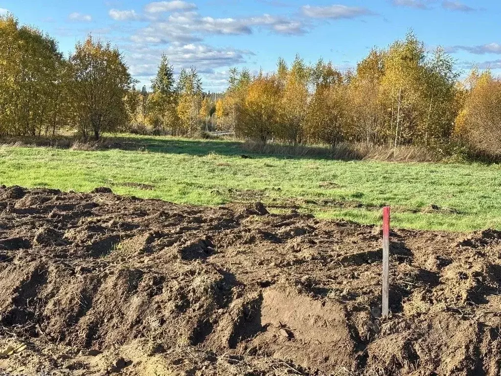 Участок в Ленинградская область, Всеволожский район, Агалатовское ... - Фото 0