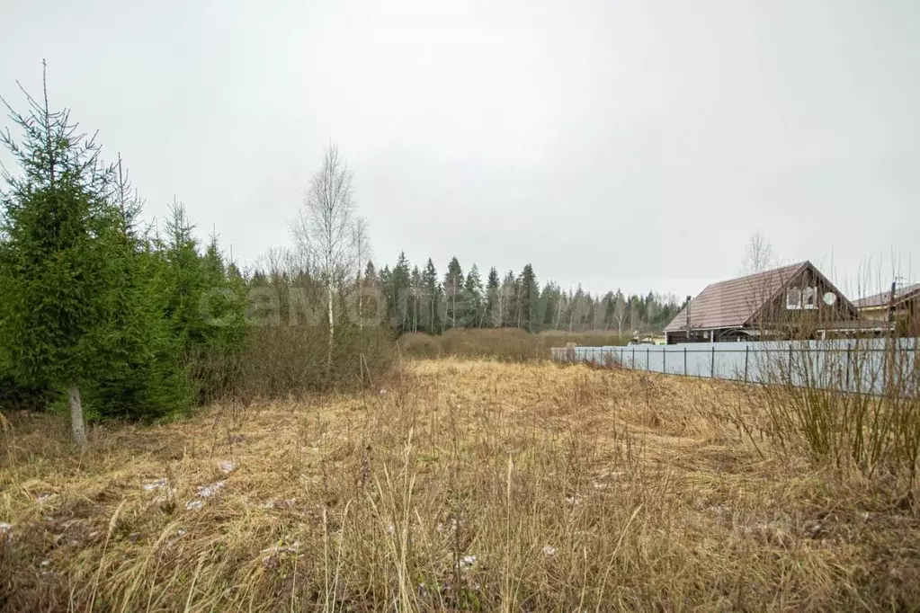 Участок в Московская область, Наро-Фоминский городской округ, д. ... - Фото 2