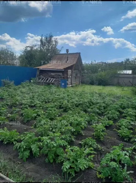 Участок в Челябинская область, Чебаркуль Металлург-2 СНТ,  (6.0 сот.) - Фото 1