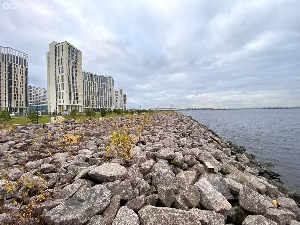 1-комнатная квартира: Санкт-Петербург, проспект Крузенштерна, 4 (29.2 ... - Фото 2