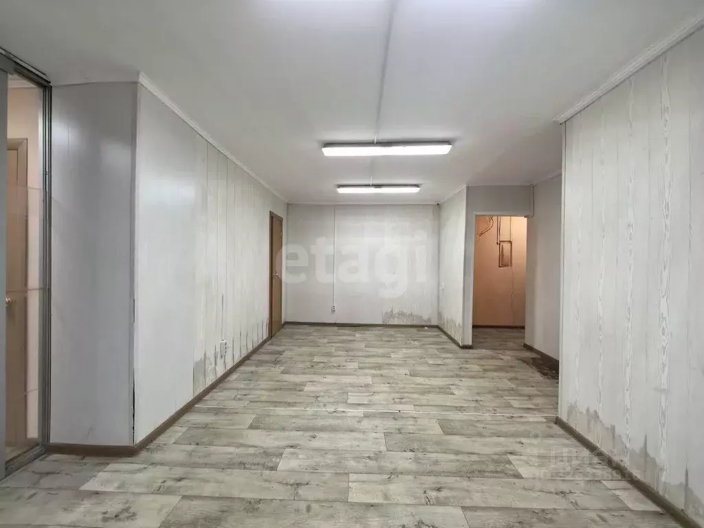 Помещение свободного назначения в Камчатский край, Елизовский ... - Фото 2