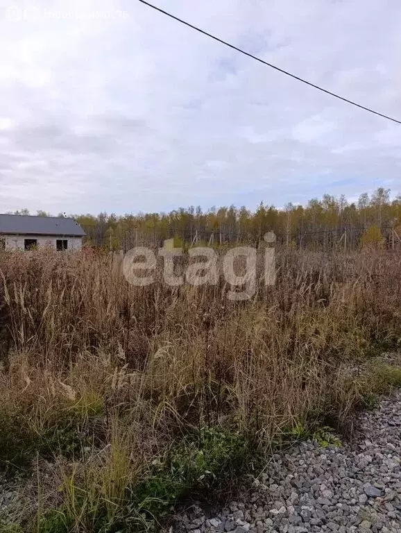 Участок в посёлок Плодопитомник, Еловая улица (7.2 м) - Фото 2