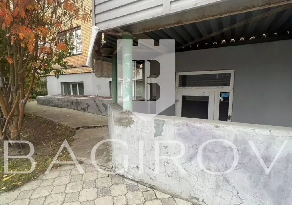 Помещение свободного назначения в Новосибирская область, Новосибирск ... - Фото 1