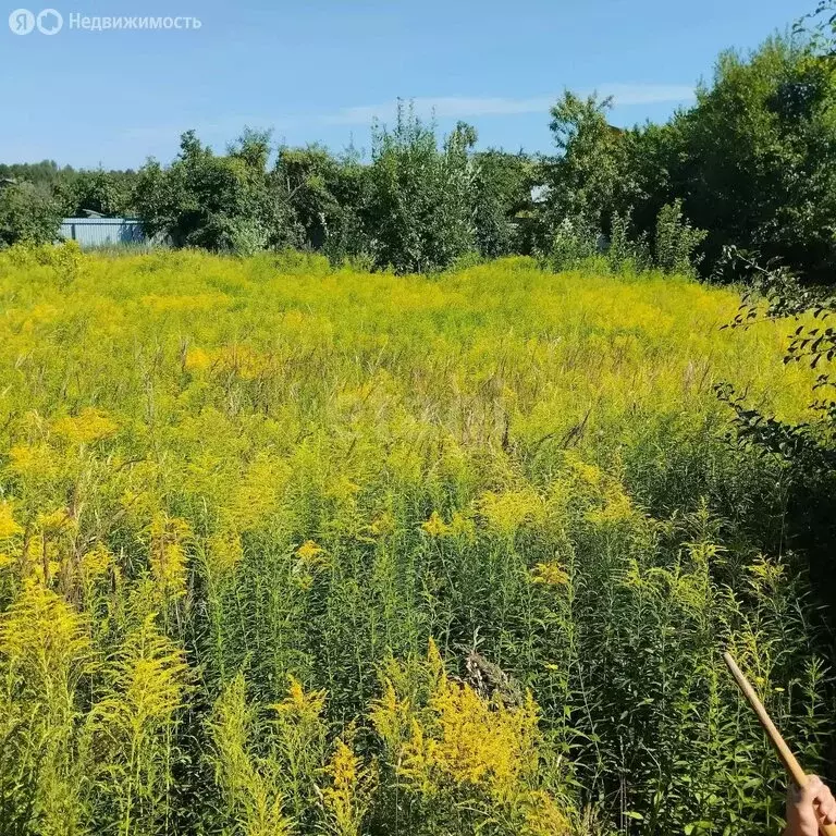 Участок в Верхопольское сельское поселение, СДТ Хацунь (6 м) - Фото 2