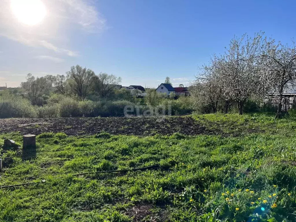 Участок в Башкортостан, Уфа городской округ, с. Нагаево ул. Луговая, ... - Фото 1