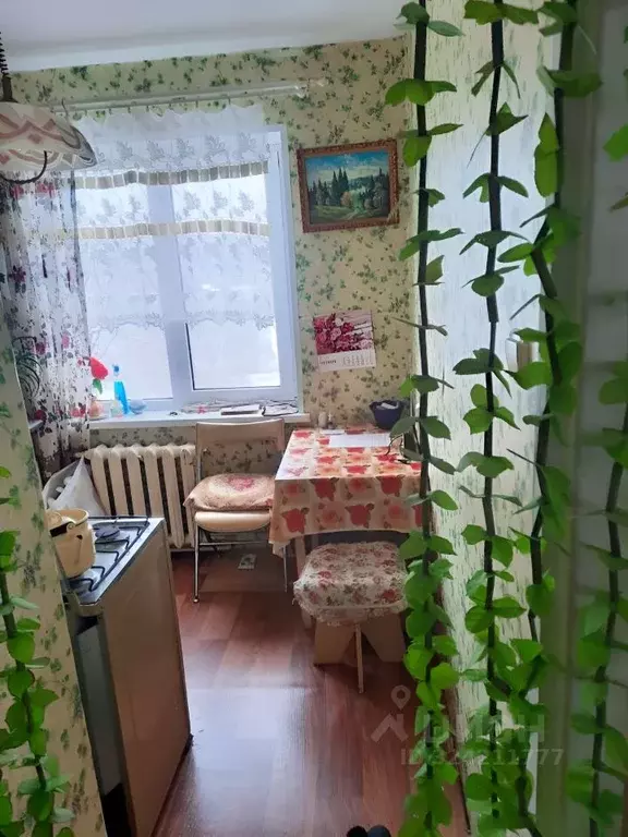 1-к кв. Ленинградская область, Сланцевский район, Выскатское с/пос, д. ... - Фото 2