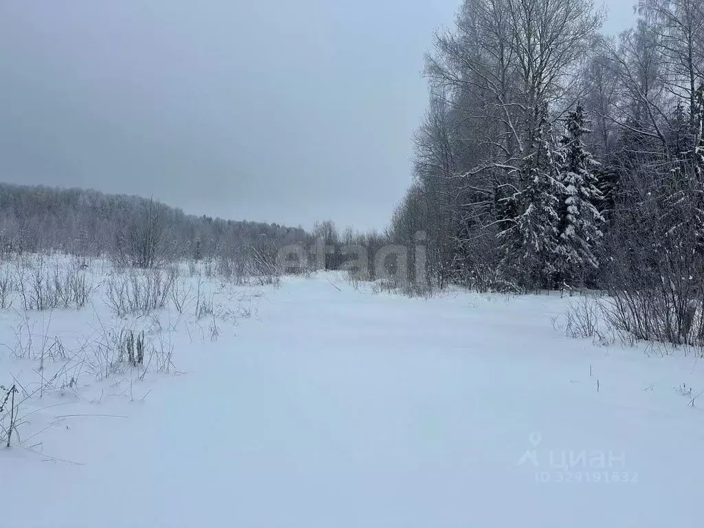 Участок в Кировская область, Кирово-Чепецкий район, с. Бурмакино  ... - Фото 2
