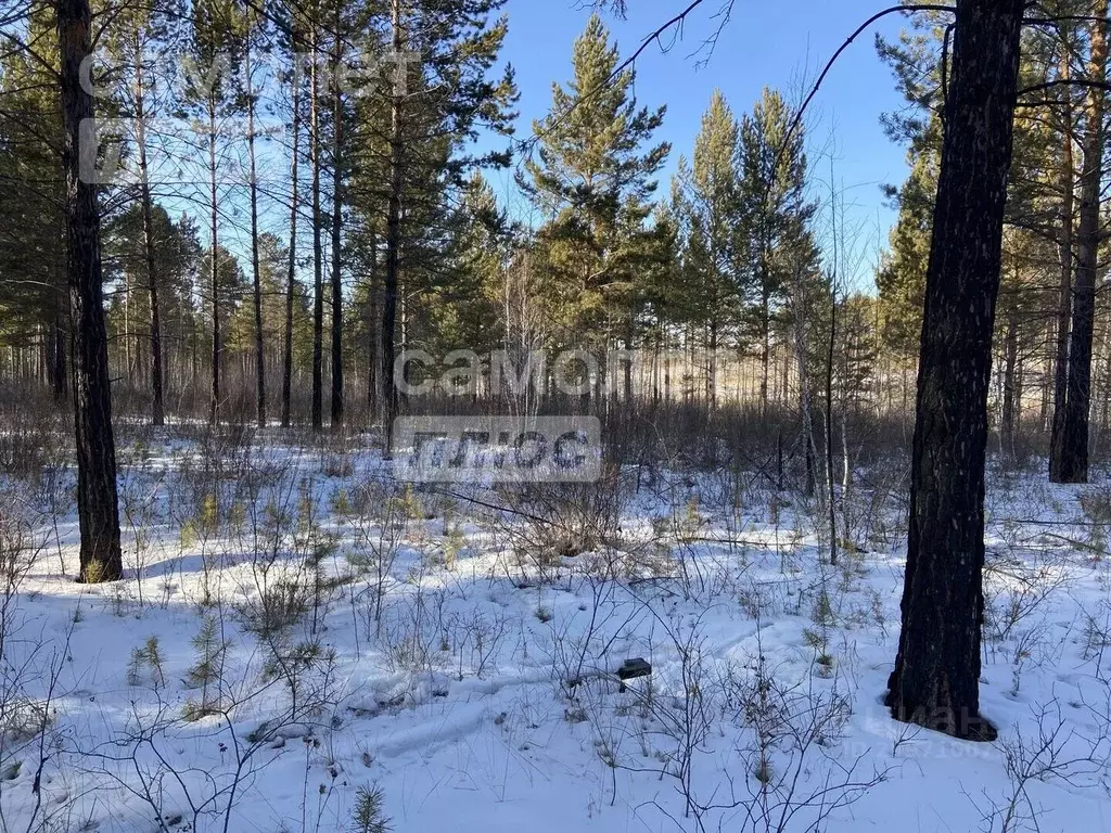 Участок в Забайкальский край, Читинский район, с. Смоленка  (10.0 ... - Фото 0