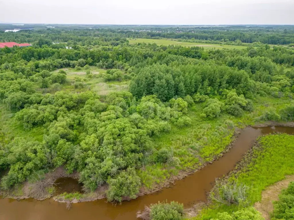 Участок в Еврейская автономная область, Смидовичский район, с. ... - Фото 1
