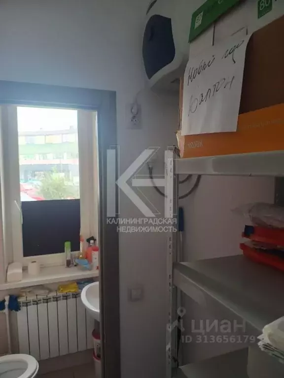 Офис в Калининградская область, Калининград Батальная ул., 49 (60 м) - Фото 1