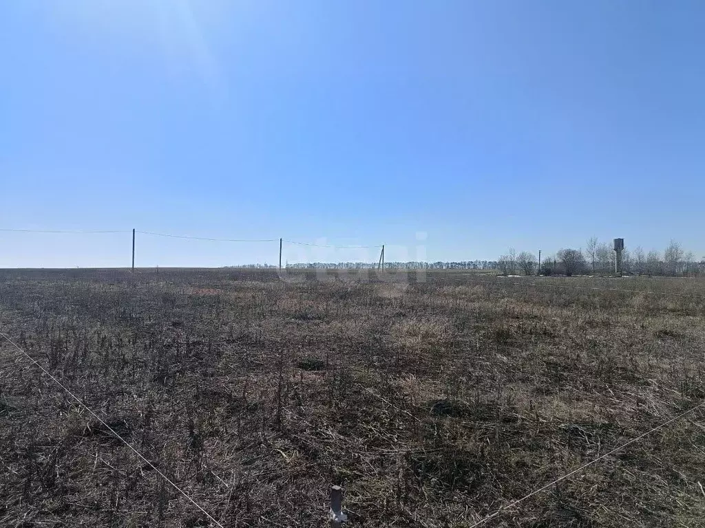 Участок в Курская область, Курский район, с. Ноздрачево  (11.68 сот.) - Фото 1