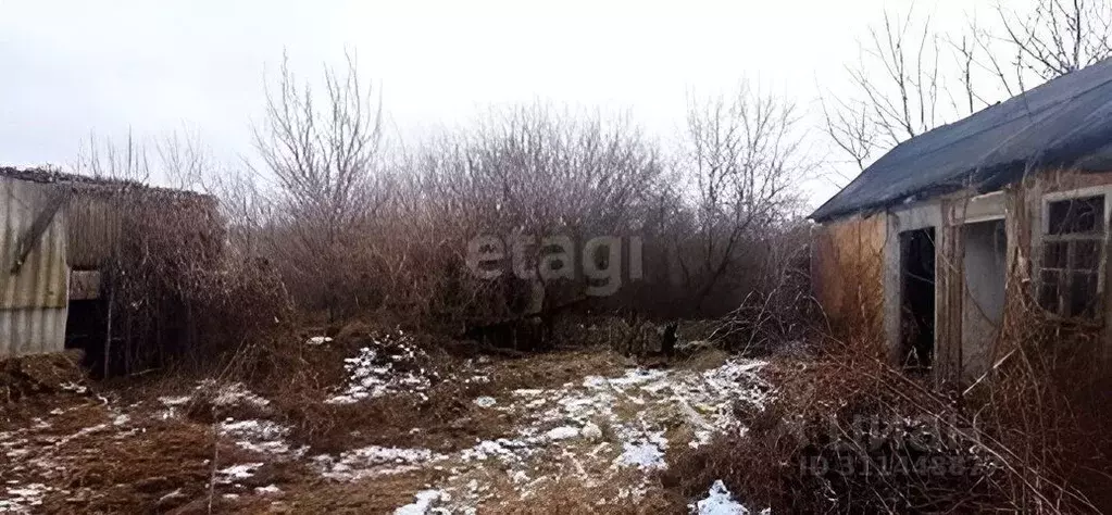 Участок в Белгородская область, Волоконовский район, Покровское с/пос, ... - Фото 0