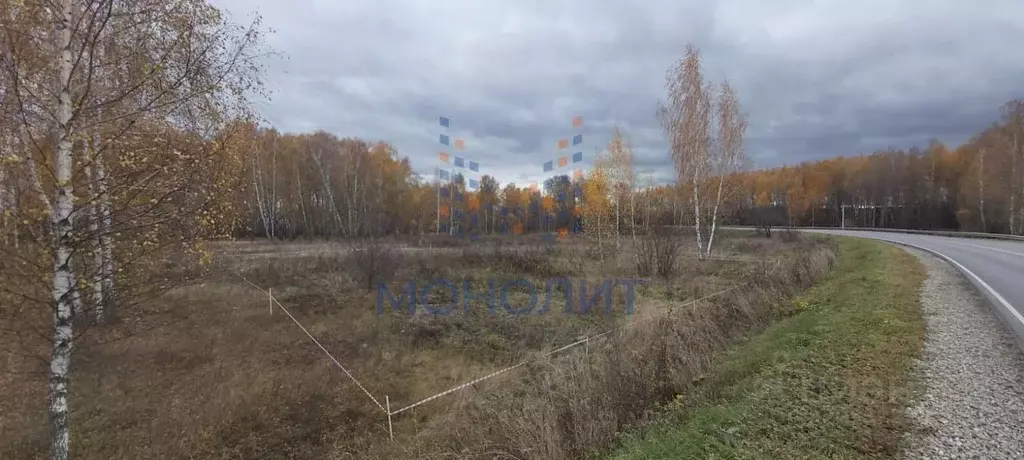 Участок в Московская область, Ступино городской округ, д. Щапово  ... - Фото 2