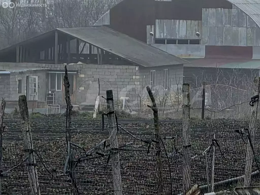 Участок в Дербентский район, сельское поселение Сабнова, село Сабнова ... - Фото 1